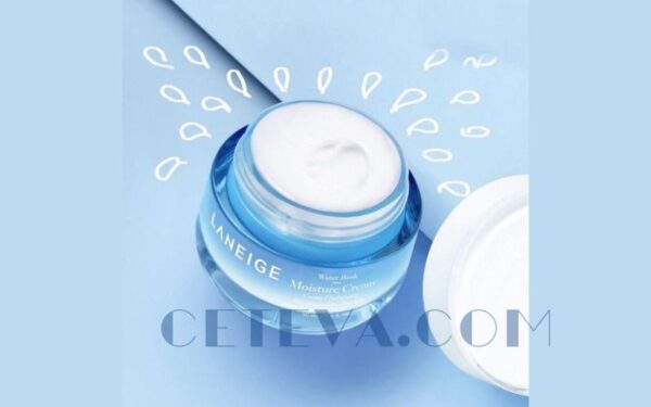 Kem dưỡng ẩm Laneige Water Bank Moisture Cream cho da khô