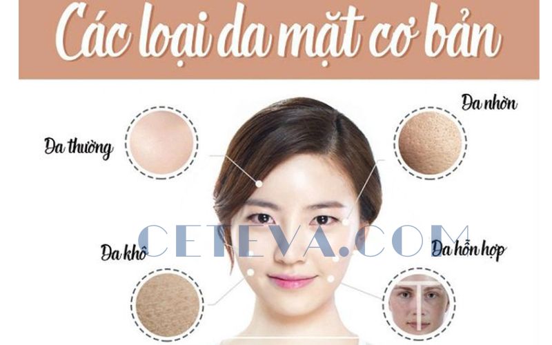 Làm Thế Nào Để Chọn Sản Phẩm Chăm Sóc Da Phù Hợp Với Từng Loại Da